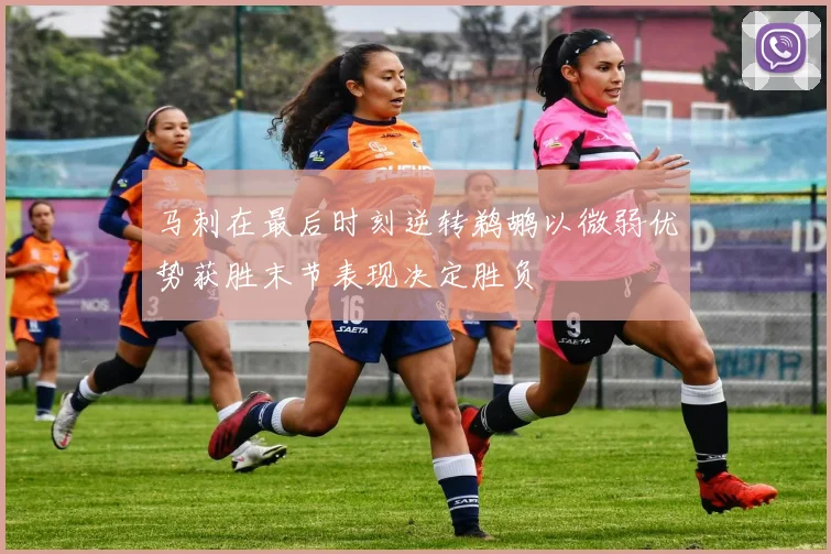 马刺在最后时刻逆转鹈鹕以微弱优势获胜末节表现决定胜负