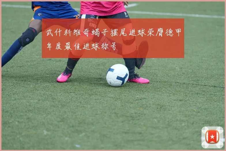 武什科维奇蝎子摆尾进球荣膺德甲年度最佳进球称号
