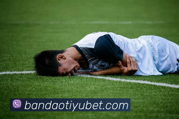 半岛体育品牌故事