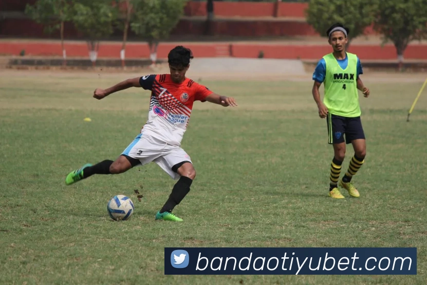 半岛体育服务体系